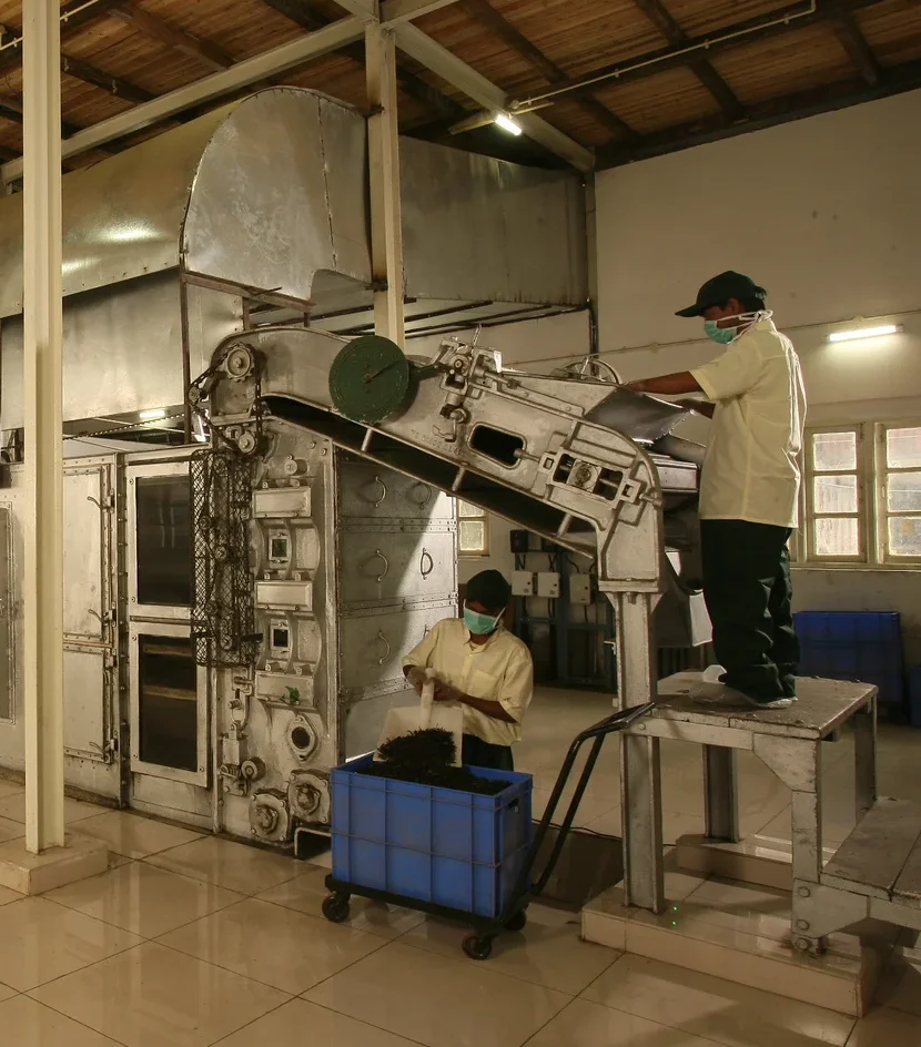 One of the finest tea in the world